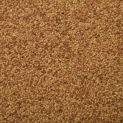 Alfalfa Seeds 1kg | Sprouting Seeds | ISO Certified | No Additives Alfalfa Seeds 1kg | Sprouting Seeds | ISO Certified | No Additives
