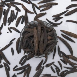 Marathi Moggu 250g | Kapok Buds | Authentic South Indian Spice