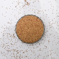 Alfalfa Seeds 250gms