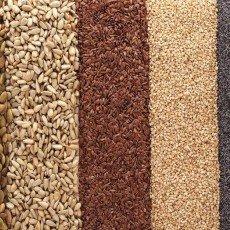 The Many Benefits of Incorporating Edible Seeds into Your Diet