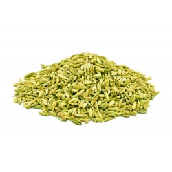 Fennel Seeds (Moti Saunf) 250g | Premium Aromatic Saunf for Digestion & Mouth Freshener