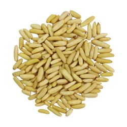 Pine Nuts Without Shell 100g (Chilgoza Giri) - Jumbo Size, Fresh & Buttery | Dry Fruit Hub Pine Nuts Without Shell 100g (Chilgoza Giri) - Jumbo Size, Fresh & Buttery | Dry Fruit Hub